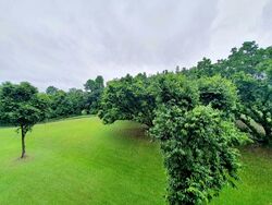 Blk 134 Ang Mo Kio Avenue 3 (Ang Mo Kio), HDB 4 Rooms #392060211